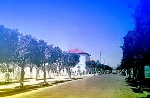 Saint Leu 504- Rue principale